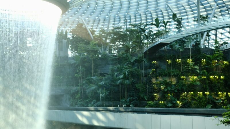 Hydroponics at Home for Beginners