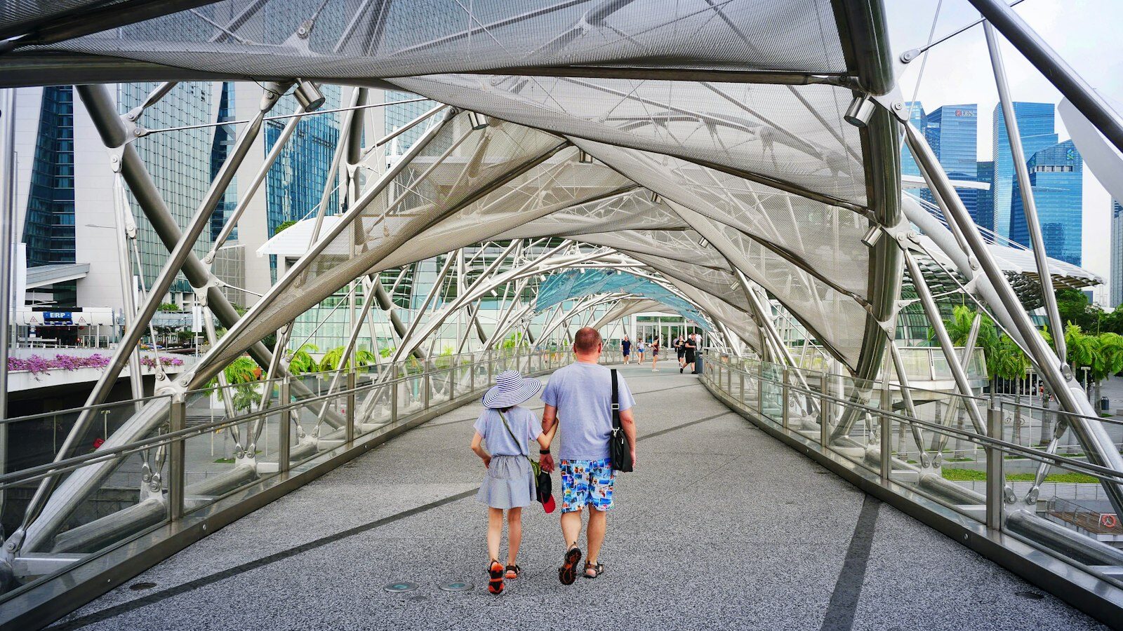 Insurance and Healthcare Costs for Parents on LTVP in Singapore