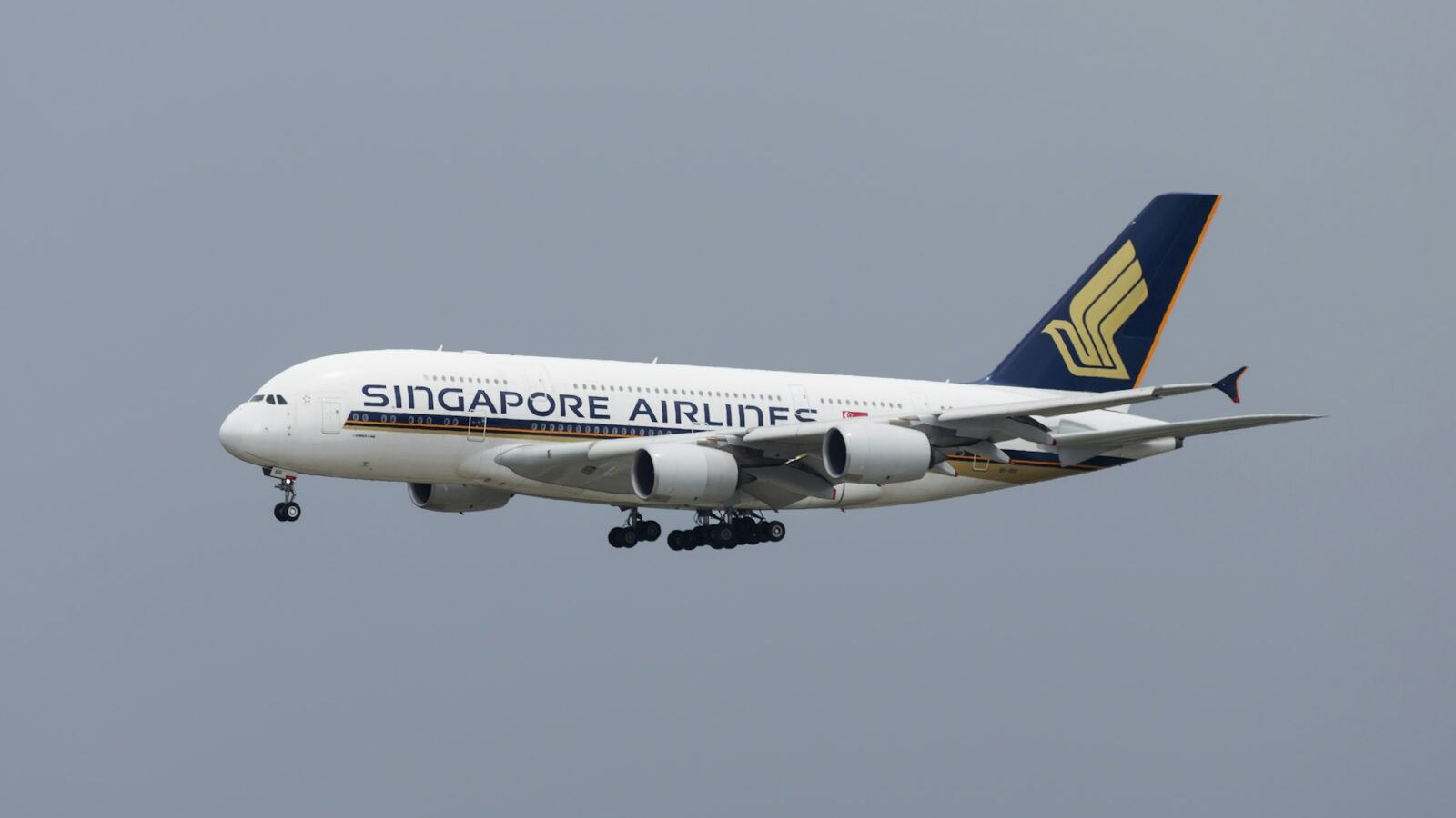 Long-Haul Flight Comfort Tips