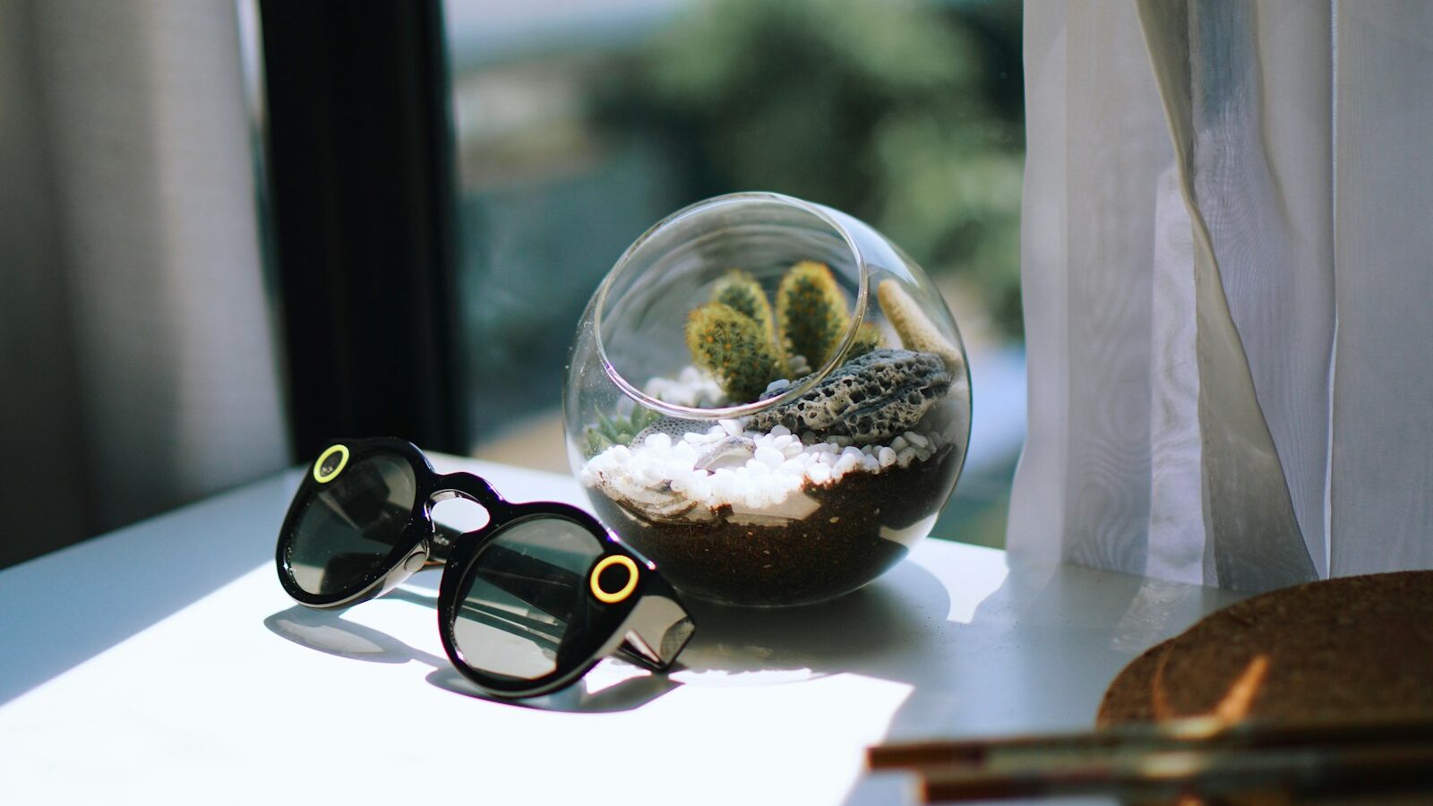 Making a Terrarium at Home: A Beginner Guide for Singapore
