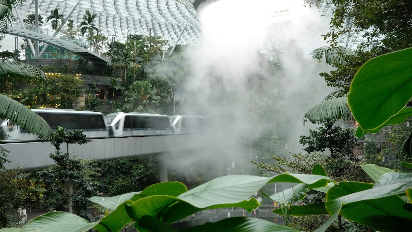 Making Natural Pest Sprays With Neem