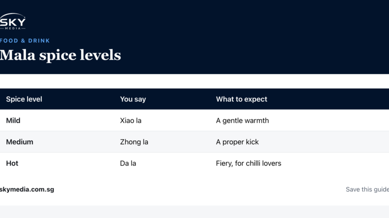 Sky Media infographic: Mala spice levels (Singapore guide).