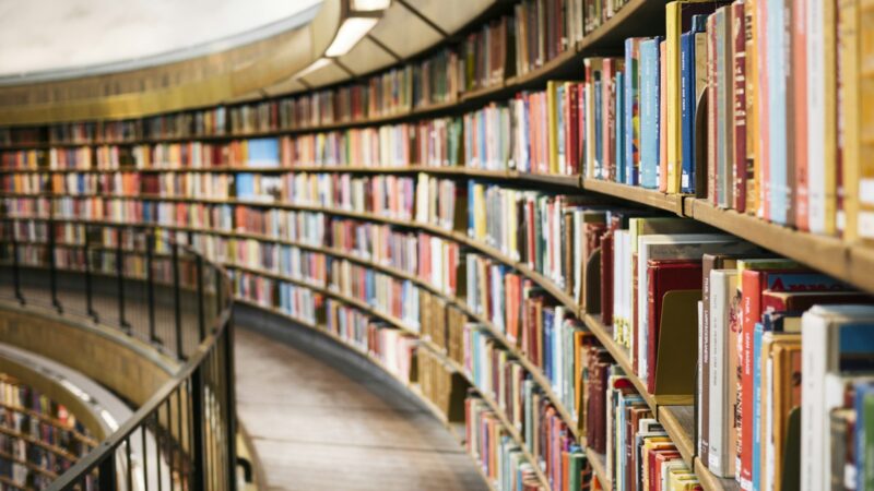 Making the Most of the National Library Singapore and Other Free Community Resources