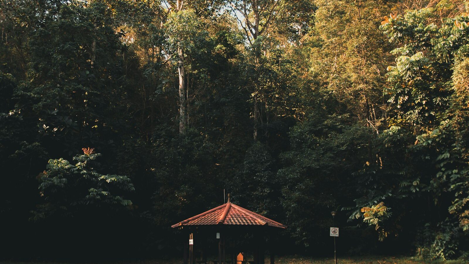 Nature Playgrounds and Forest Walks