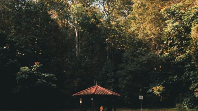Nature Playgrounds and Forest Walks