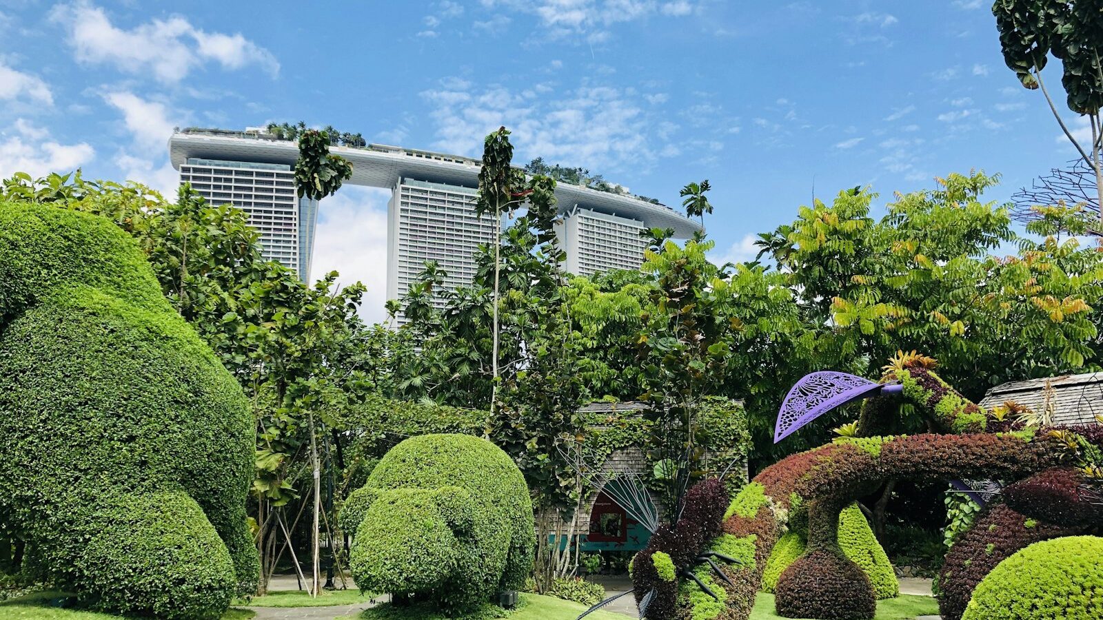 No Dig Gardening in the Tropics: A Singapore Guide