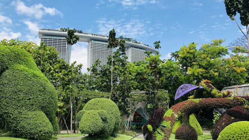 No Dig Gardening in the Tropics: A Singapore Guide