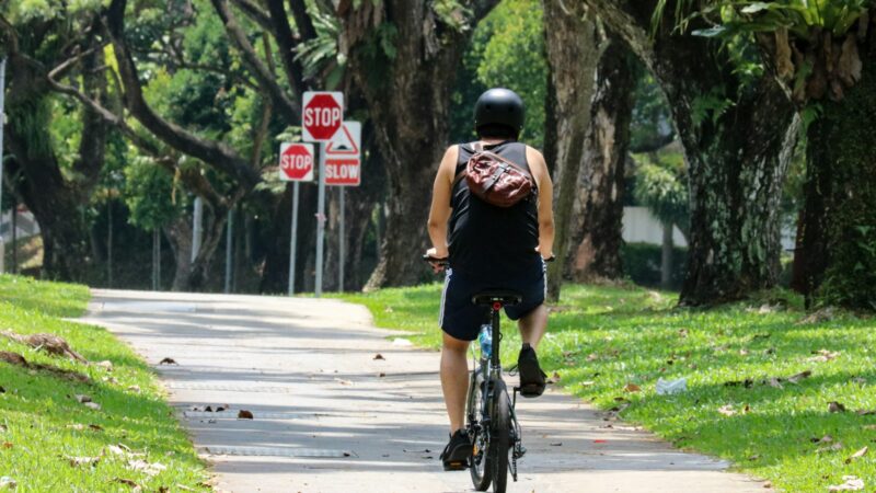Personal Mobility Device Rules in Singapore
