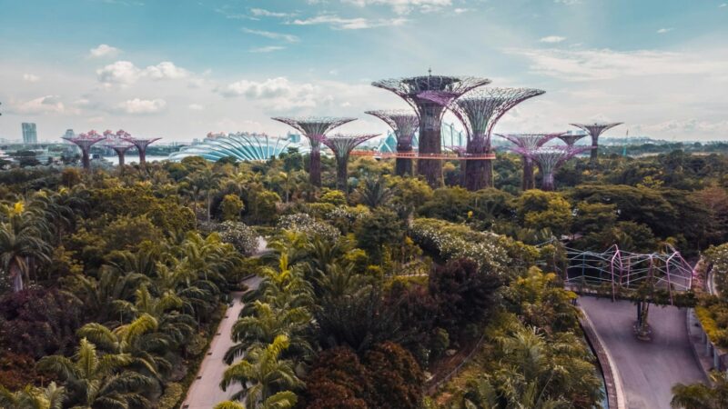 Planning Your Trip Back to China From Singapore