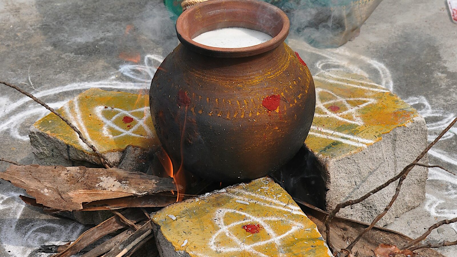The Pongal Festival