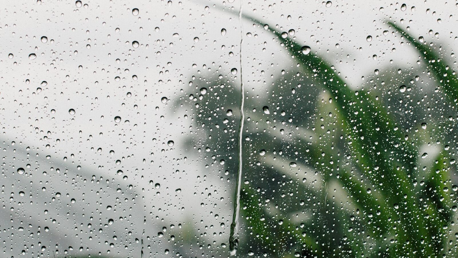 What to Do in Singapore on a Rainy Day