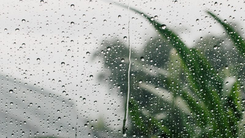 What to Do in Singapore on a Rainy Day