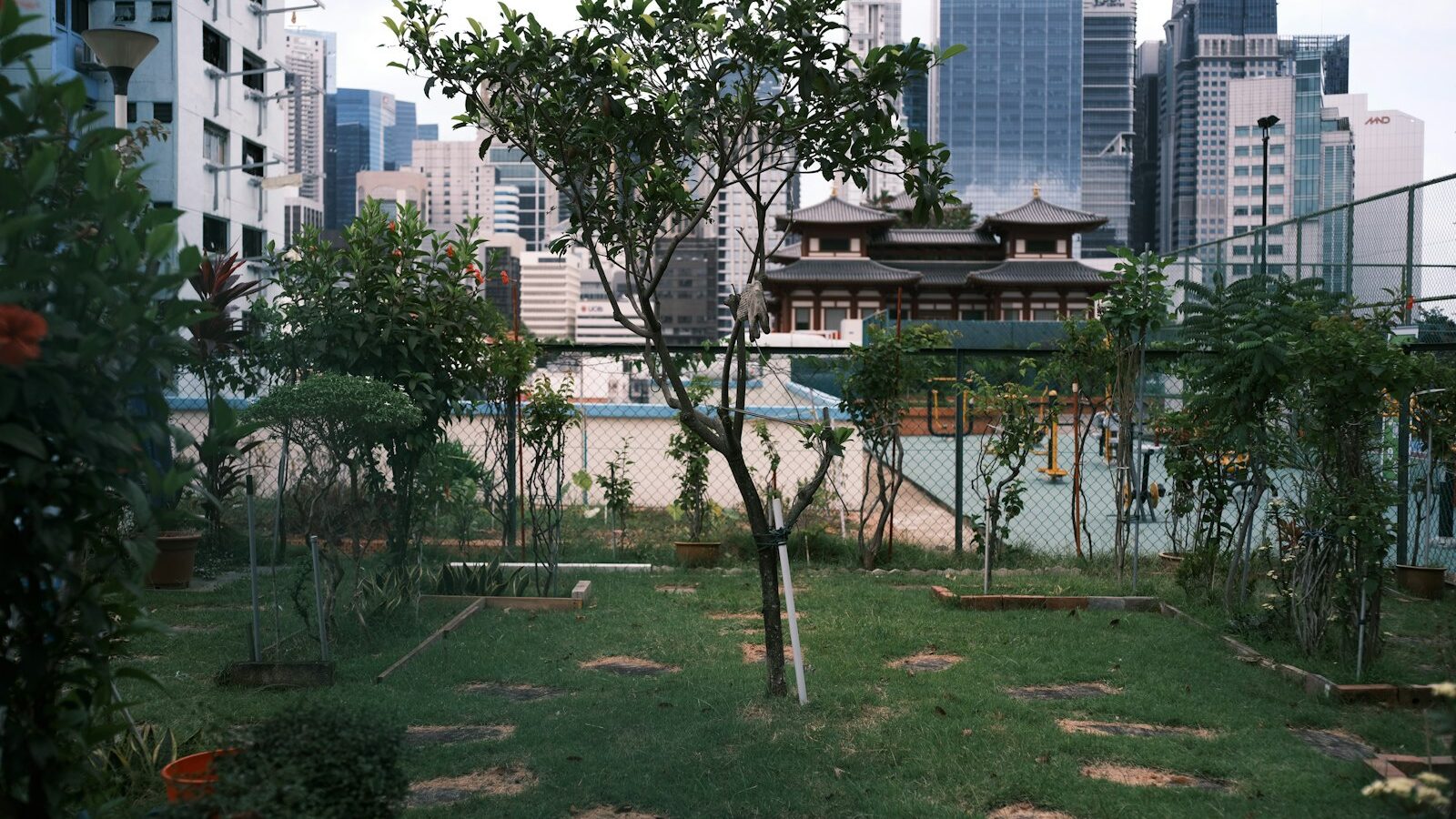 Raised Bed Gardening in Singapore: A Practical Guide