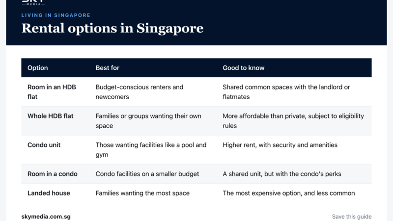 Sky Media infographic: Rental options in Singapore (Singapore guide).
