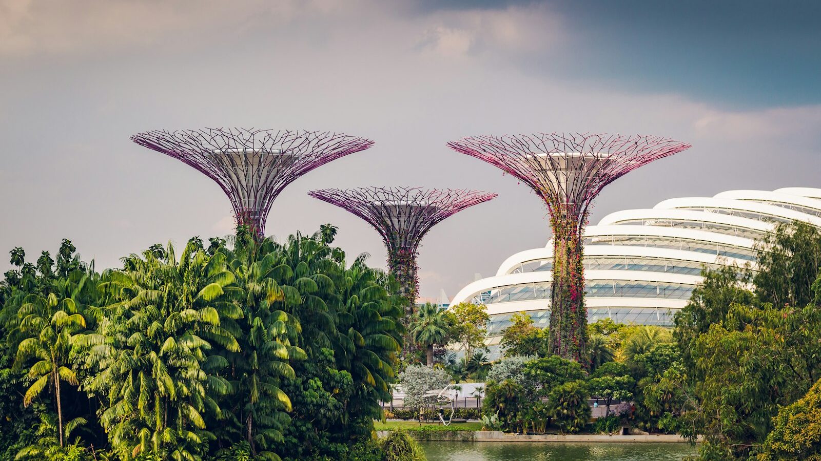 How to Save on Your Utility Bills in Singapore