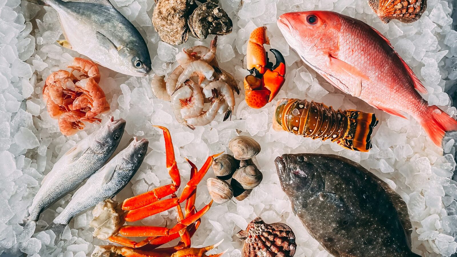Seafood in Singapore
