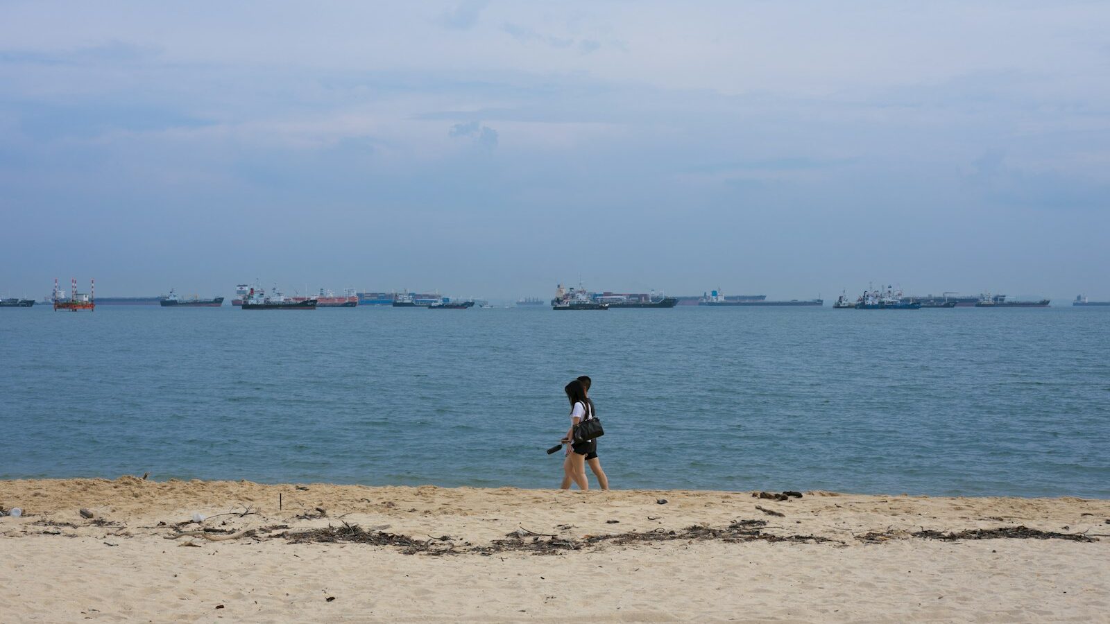Shell Collecting and Beachcombing in Singapore