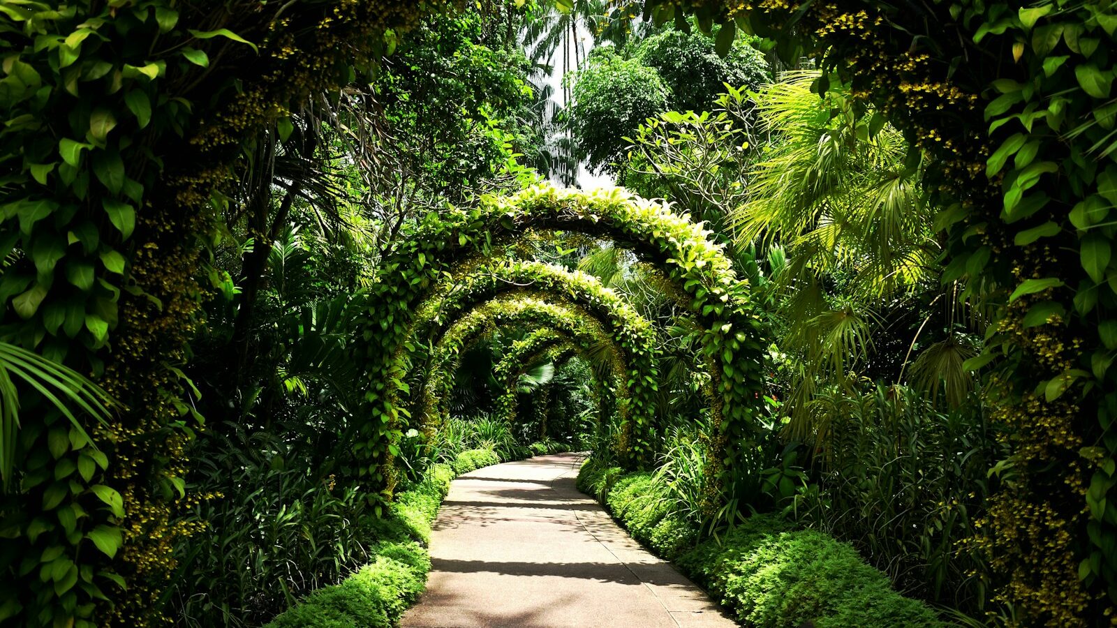A Guide to the Botanic Gardens Singapore