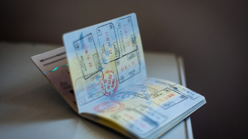 新加坡工作准证全解析：EP、S Pass及其他类型