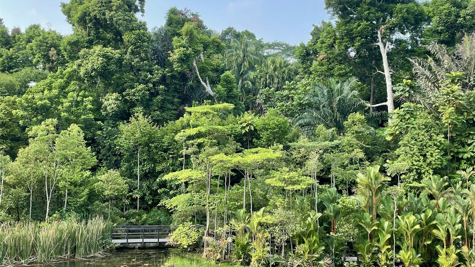 The Southern Ridges Walk