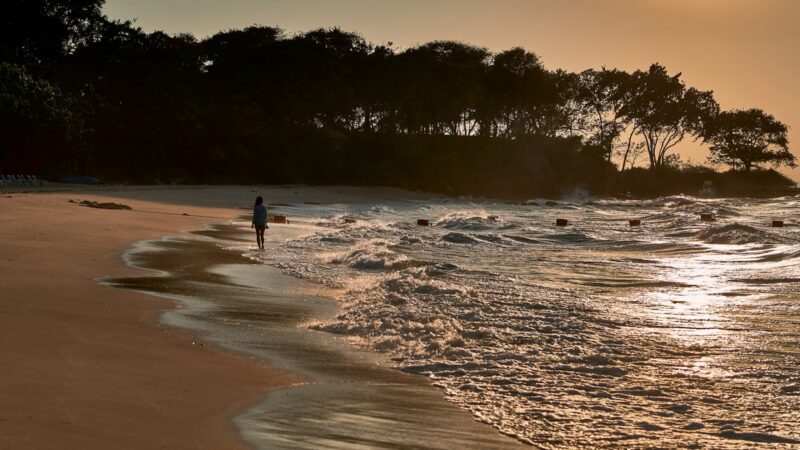 Surviving Singapore's Heat and Humidity: A Newcomer's Guide