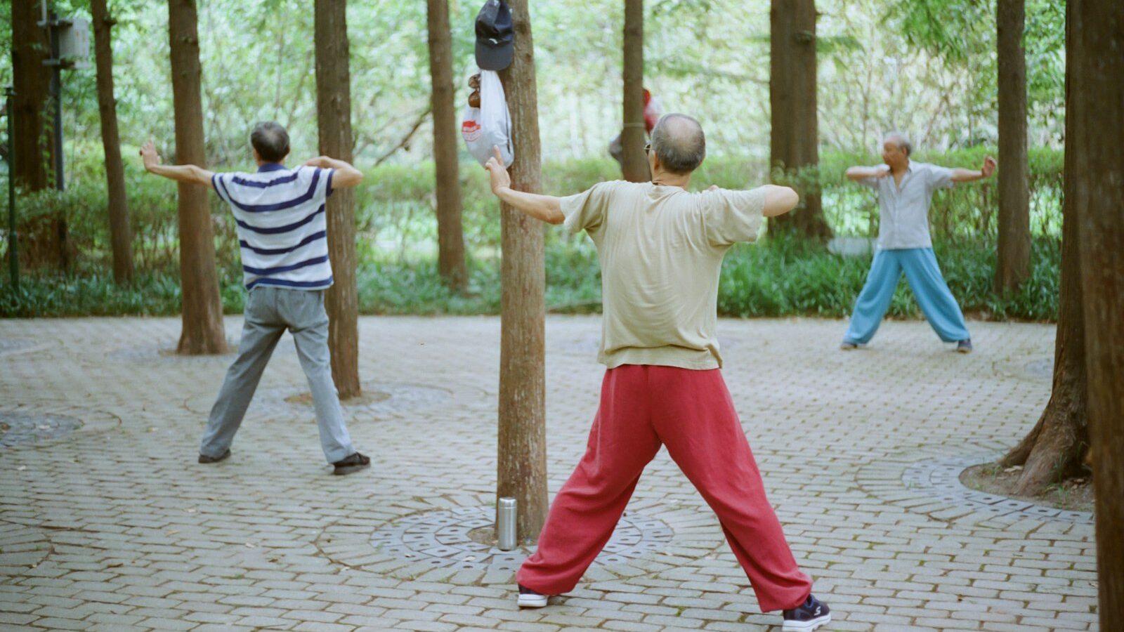 Tai Chi and Qigong for Everyday Fitness