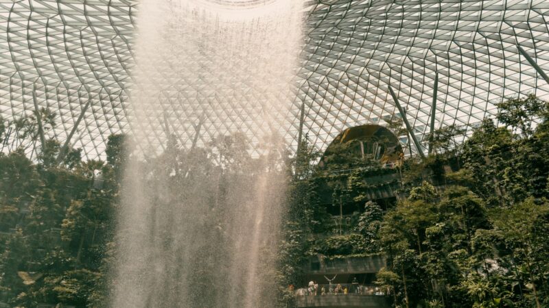 Taming Frizz in Singapore’s Humidity