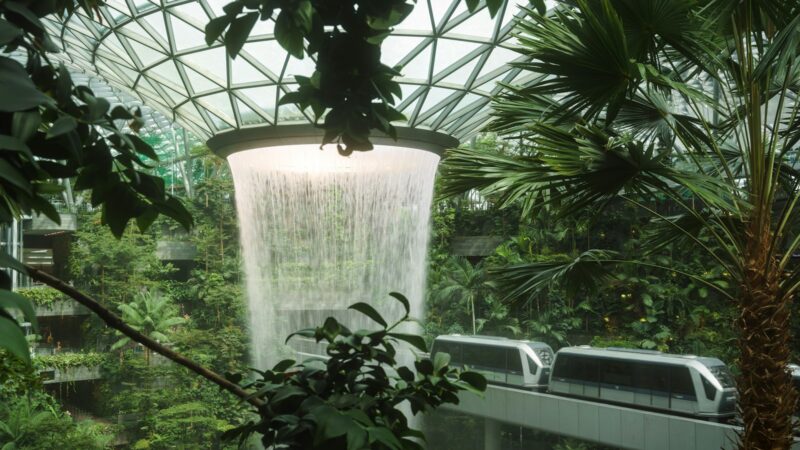 The Best Plants for Your Bathroom