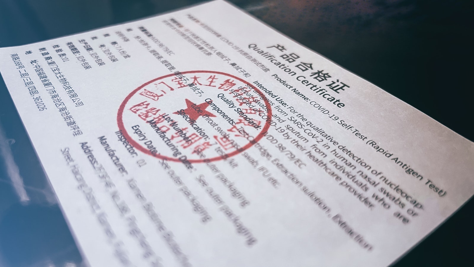 Translating and Notarising Chinese Documents in Singapore