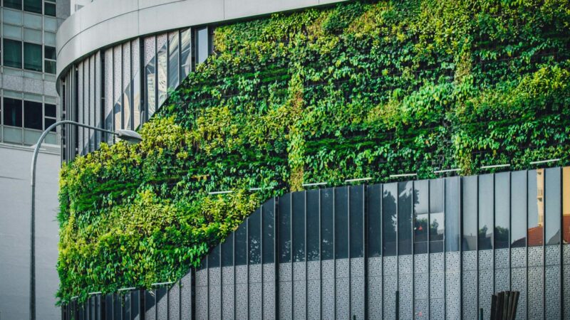 Vertical Gardening and Green Walls: Grow Up When You Cannot Grow Out