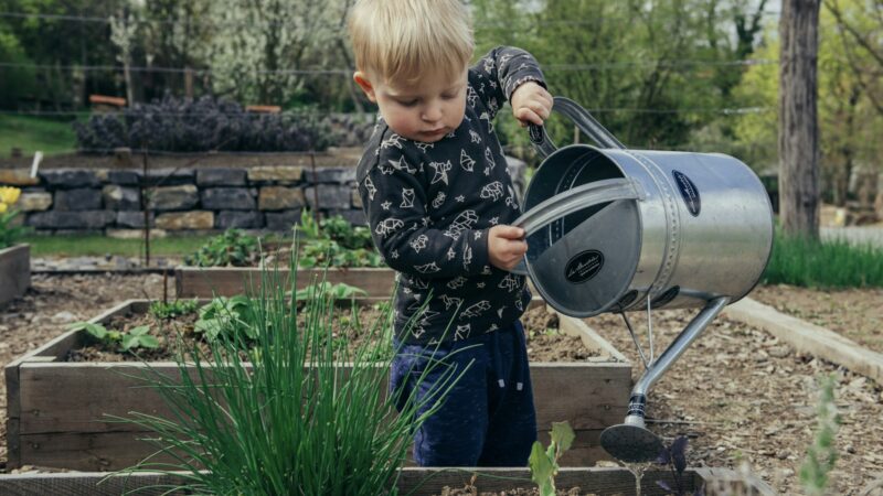 Water Saving in the Garden: A Practical Guide for Singapore