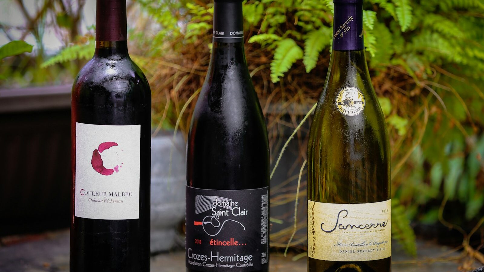 Wine for Beginners in Singapore