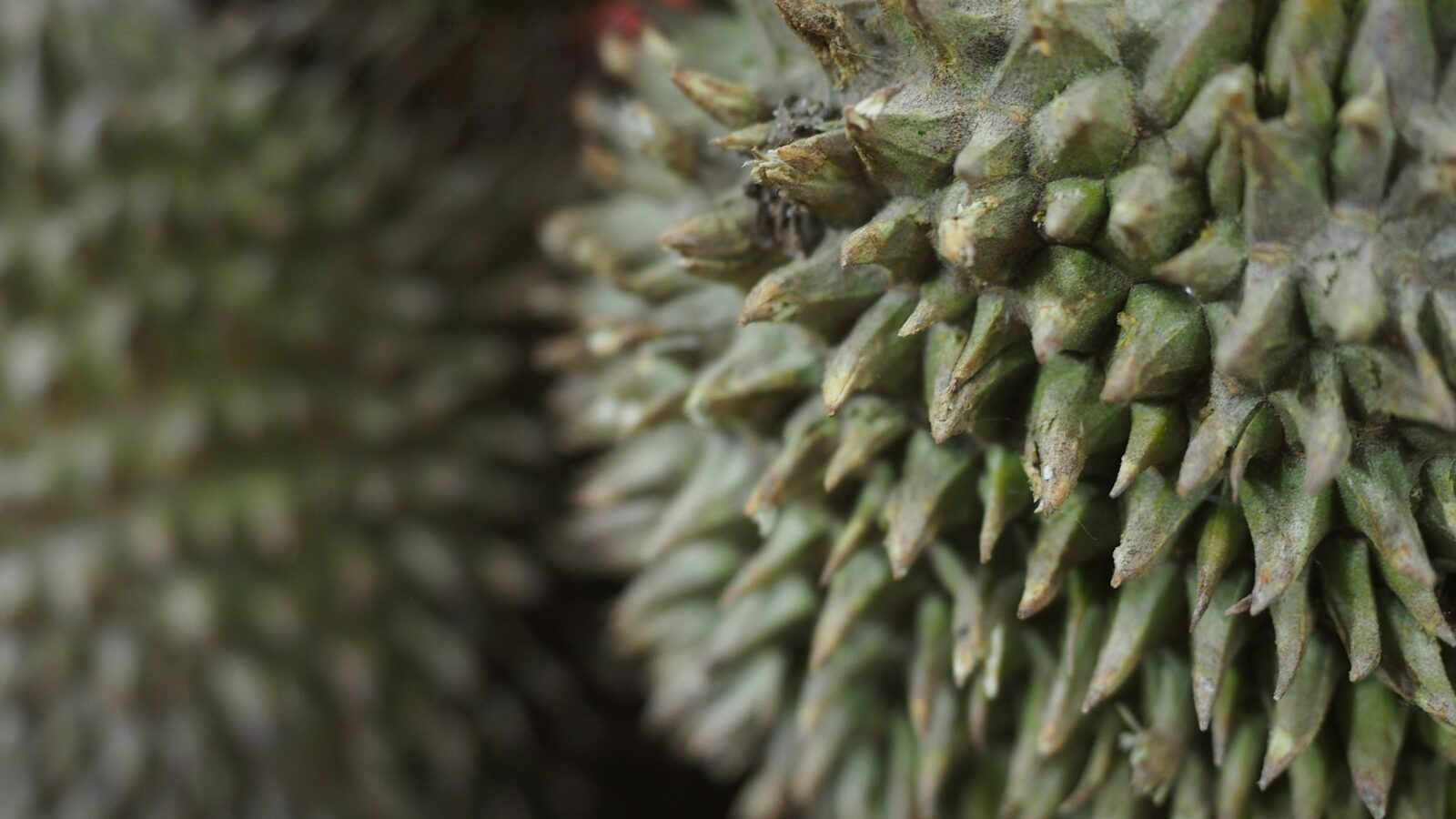 Dealing With Heat Rash and Prickly Heat