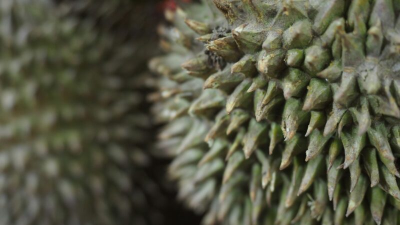 Dealing With Heat Rash and Prickly Heat
