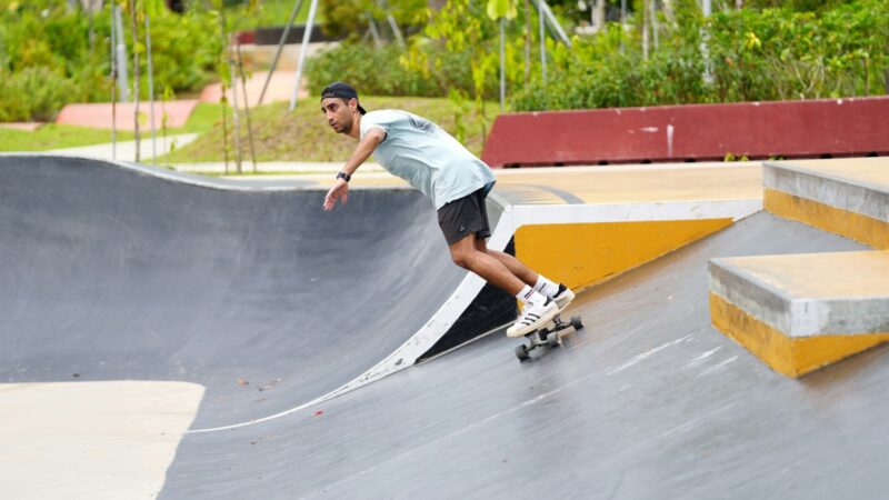 Skateboarding and Inline Skating