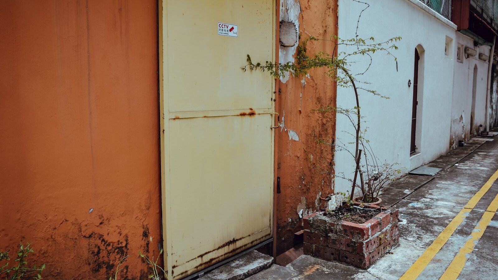 Dealing With Mould and Damp in Your Home