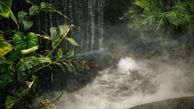 Face Steaming at Home