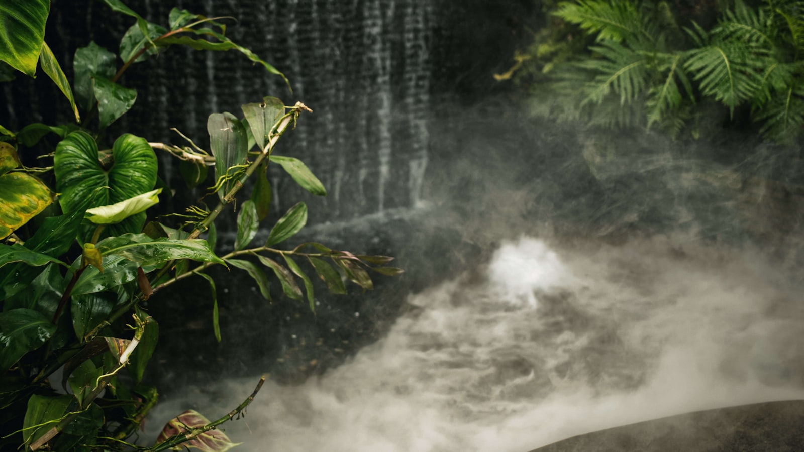 Face Steaming at Home