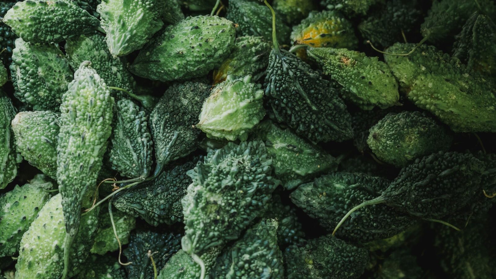 Fermented Skincare Ingredients