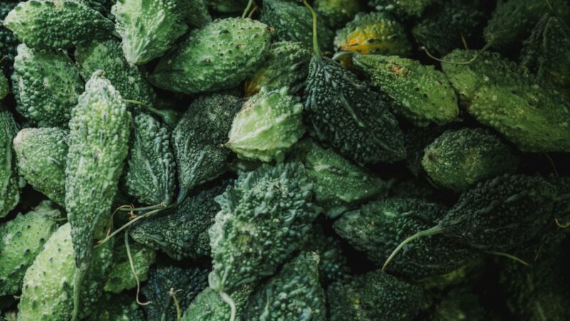 Fermented Skincare Ingredients