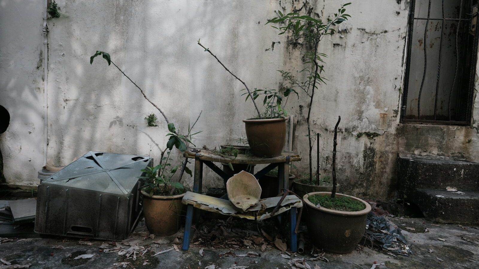 How to Clean and Sterilise Your Garden Tools