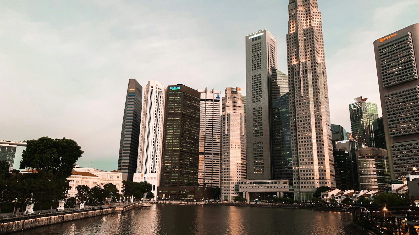 Caring for a Pomeranian in Singapore
