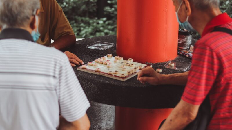 Solving Sudoku and Logic Puzzles